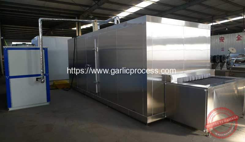 Garlic-Clove-IQF-Machine-Manufacture